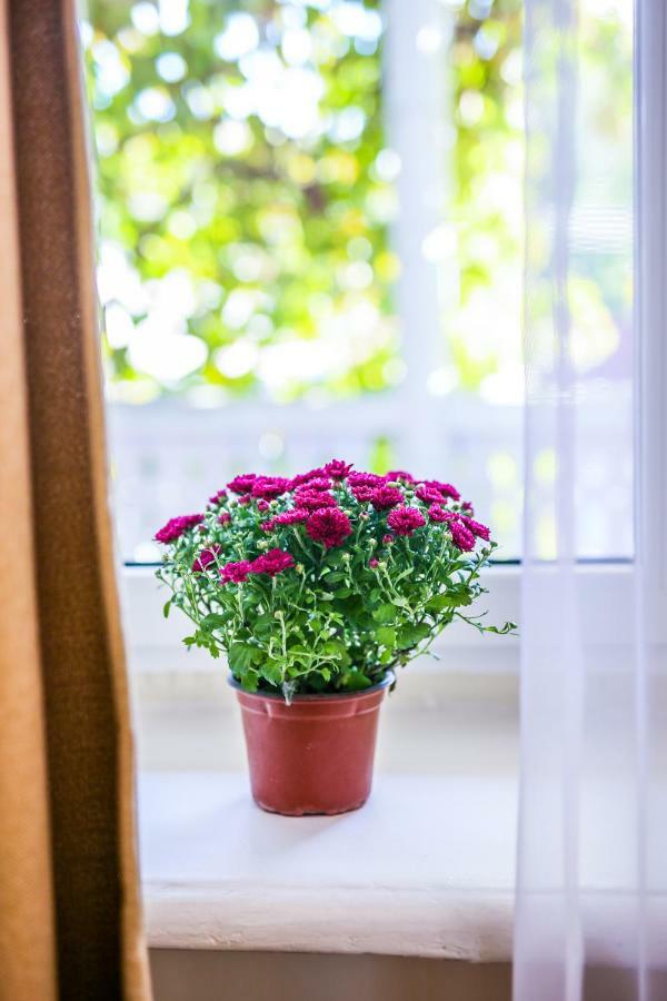 Parajhouse Apartment Tbilisi Ngoại thất bức ảnh